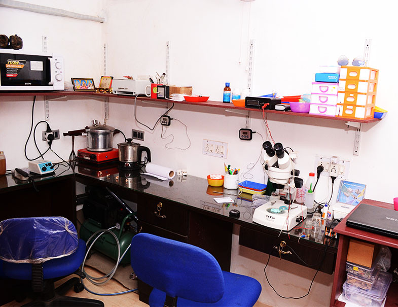 Prithvi hearing Systems ( Kannur)